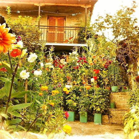 Guesthouse Gouris Tsepelovo Extérieur photo
