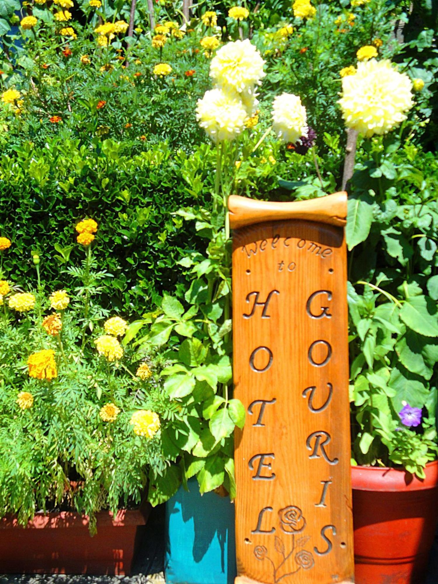 Guesthouse Gouris Tsepelovo Extérieur photo