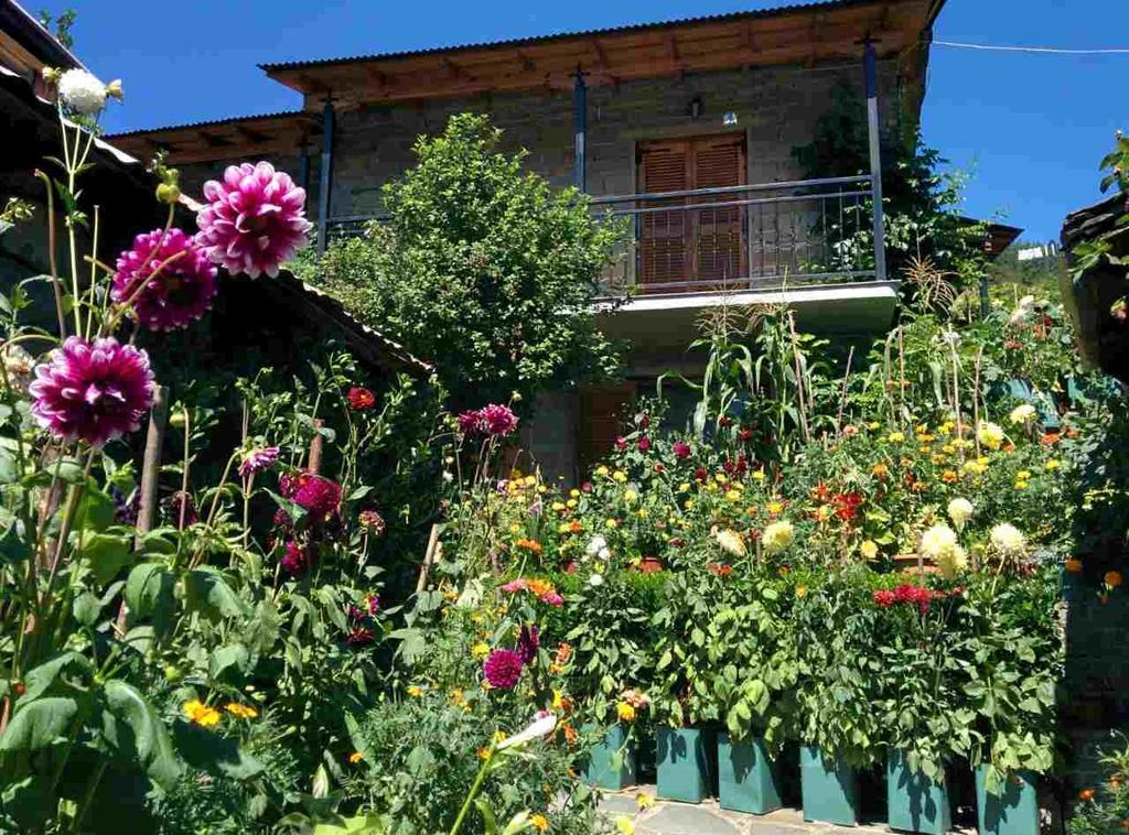 Guesthouse Gouris Tsepelovo Extérieur photo
