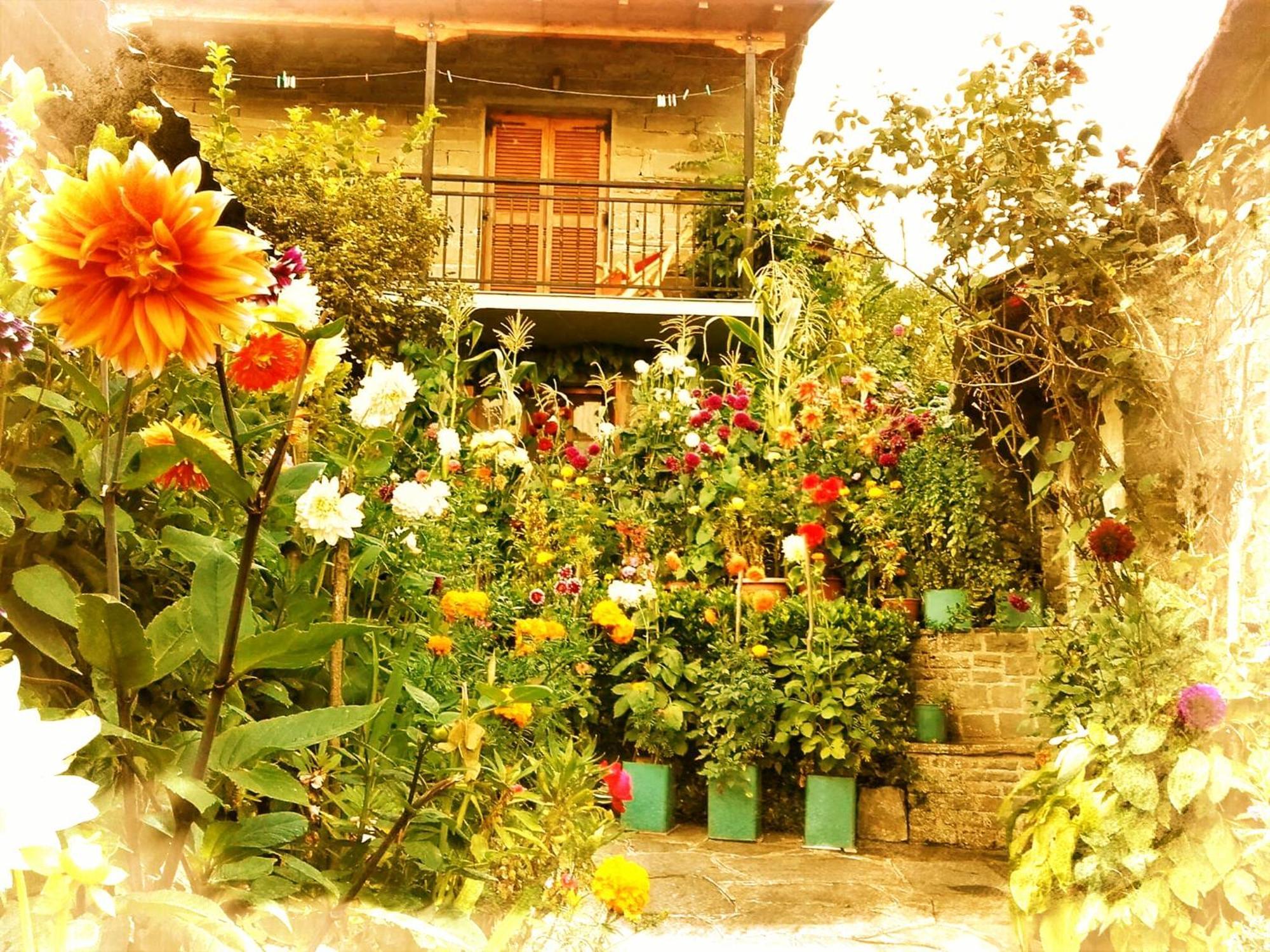 Guesthouse Gouris Tsepelovo Extérieur photo