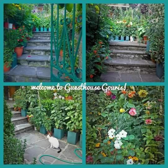 Guesthouse Gouris Tsepelovo Extérieur photo